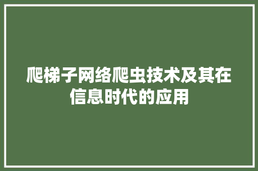 爬梯子网络爬虫技术及其在信息时代的应用