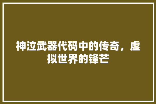 神泣武器代码中的传奇，虚拟世界的锋芒