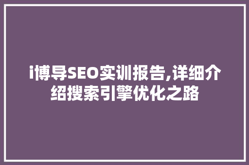 i博导SEO实训报告,详细介绍搜索引擎优化之路