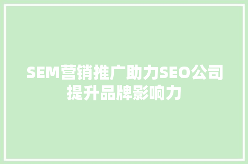 SEM营销推广助力SEO公司提升品牌影响力