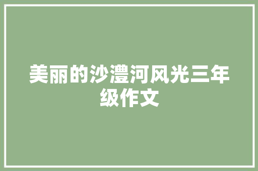 SEO优化策划方法,助力企业网站提升搜索引擎排名