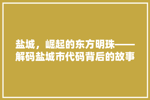 盐城，崛起的东方明珠——解码盐城市代码背后的故事