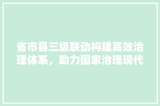 省市县三级联动构建高效治理体系，助力国家治理现代化