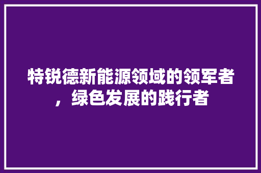 特锐德新能源领域的领军者，绿色发展的践行者