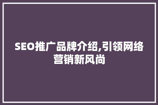 SEO推广品牌介绍,引领网络营销新风尚