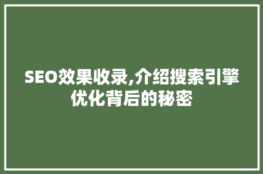 SEO效果收录,介绍搜索引擎优化背后的秘密