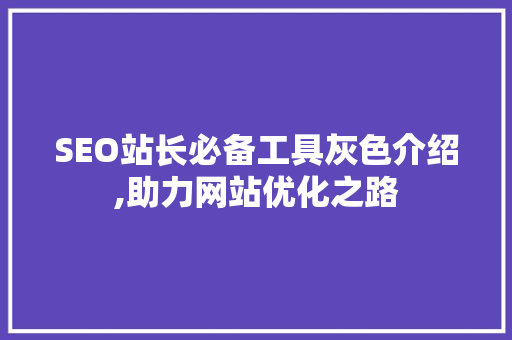 SEO站长必备工具灰色介绍,助力网站优化之路