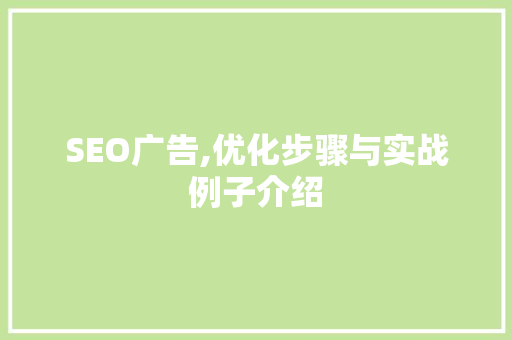 SEO广告,优化步骤与实战例子介绍